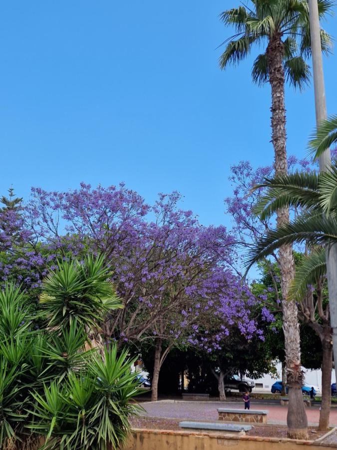 "Vero Vijola" In Torrevieja Exterior photo