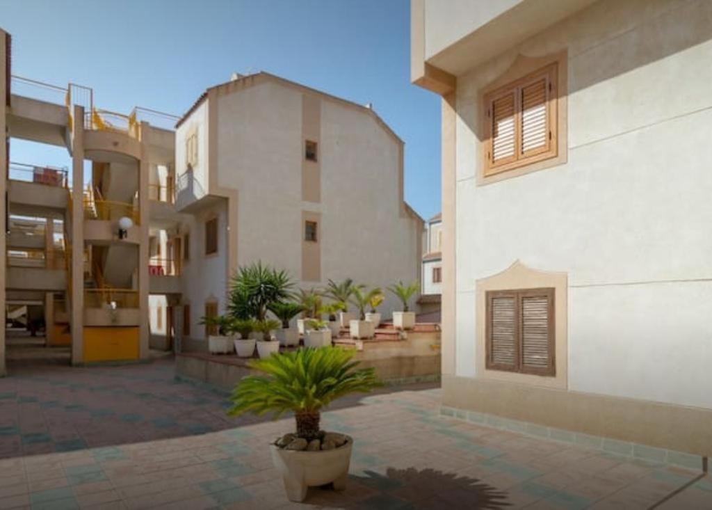 "Vero Vijola" In Torrevieja Exterior photo
