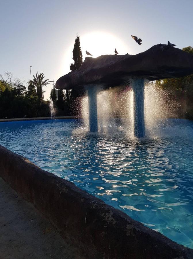 "Vero Vijola" In Torrevieja Exterior photo